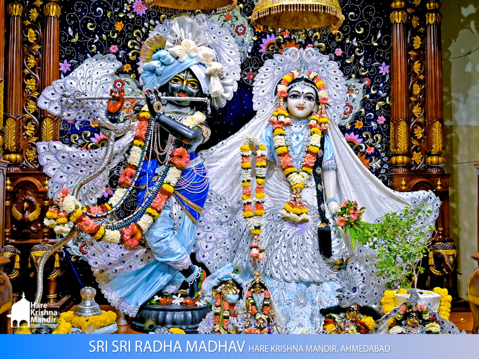 2026-07-29 Darshan